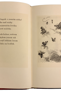 25929783 B3DC 44B4 881F 47BAB6F94C37