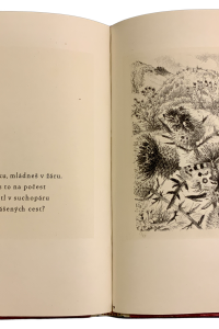 361BD2BB 4BB8 4432 BA5A 23F2F9FA41E1