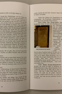 11058B65 4095 4DF0 9968 D212FA90DA0E