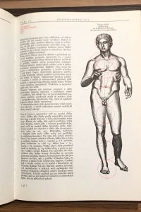 4A691F94 BDD1 4C78 A412 A94A7EB13741