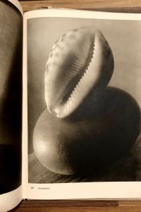 8C987530 55E9 4340 AFCA FC12166971FE