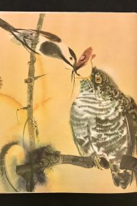 569BF95C 703C 4B88 9AE4 8C2BB869A2BB