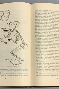 A483B054 C0B9 4914 8D8C FF4CC91EEBAA