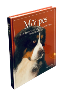 AAACC243 2139 4FF2 8367 1EB1CD8D986B