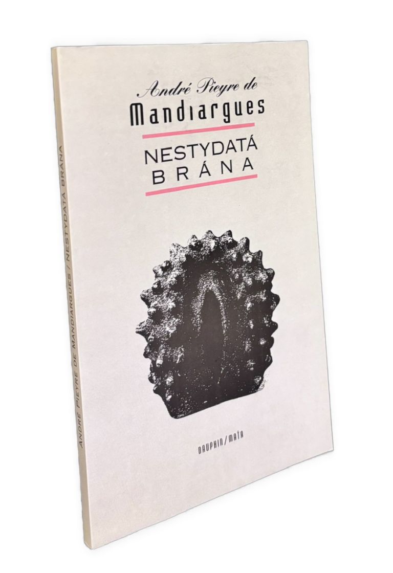 Nestydatá brána. Výber textov IMG 5687