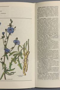 90811DDF D25F 443A B6F9 683C15B2579B