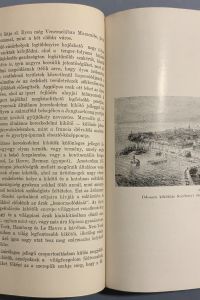 56FF0747 AAAE 4BA0 B6BA 49F5FE537BA8