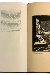 E8AC4F58 F430 4017 ACE5 77DC120CD37D