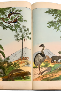 54B091F4 61E0 414C 8AB3 C1F0BFFCAE92