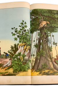 ACFC2EA5 0C88 4061 93C5 8D0826294636