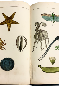 C160C445 2A1F 4BE2 BA4A C016A1589648