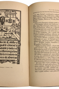 CA951D9B FC07 43D8 91DD 35D8C40D4521