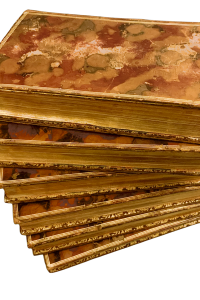 113CC8C9 A7CF 4BE1 BE81 5C1148489F82