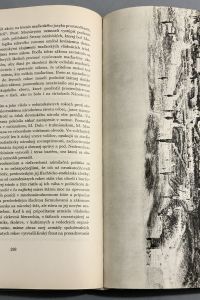 1CAE401F AED7 449C BD80 16E7D48C2848