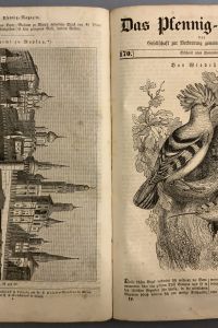 3365A206 E935 497B B319 CB8F095E4C7F