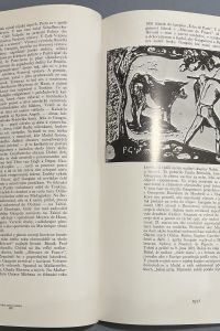 CB2249C6 189E 4BD6 8DCE 576B8928956B