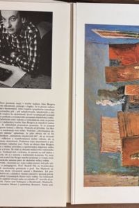 2F227E09 2B0C 4A52 9C91 39EE8B49F9FD