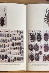 7749CDB6 C192 4746 8307 22C0D7FED42B