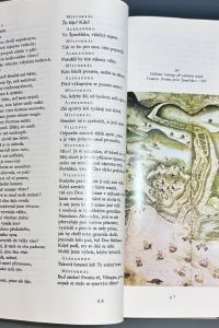 8C56082D 1088 4E02 96EE 77E71AD51C47