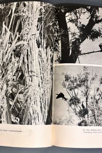 82DE3D38 7619 46AE A10E EFF1D27AB300