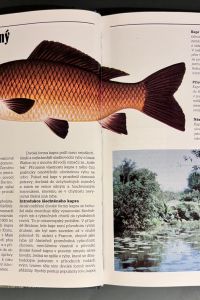 31496452 774A 411F BF87 37EAE60385E5