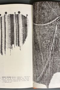 30AC68C4 8909 4433 924A AD0282216013