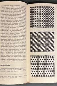 A6C02A82 19AD 4761 A056 37614DDB176B