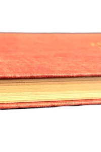 49B351B3 351E 47D5 B6AE B9D1DDACE360