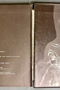 94DAB2CD D81D 4782 8880 F02007C22B04