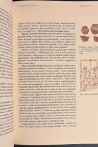 F4819FFF 41FC 49E4 ACD8 6CE3E34E61FD