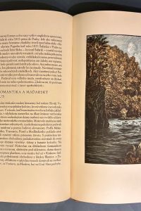 FE7366E8 0952 4EAA A2D4 CF571D0FBC1B