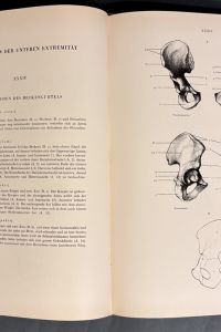 B44EEC59 1259 4F1A 9D16 DB1675405D16