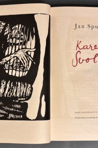 CC076CB5 3E20 4E48 A4B0 CD59EFB00117