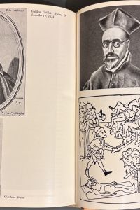 B7A4D2EC E185 4655 B37C B808B1721217