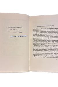 IMG 9210