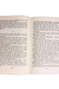 IMG 9763