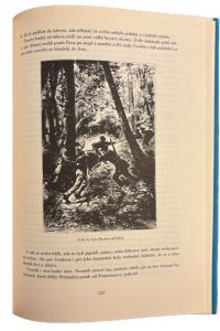 IMG 0286