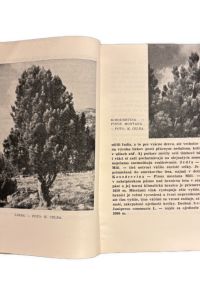 IMG 0459