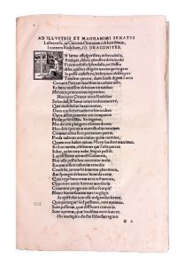 IMG 0682