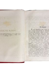 IMG 0776