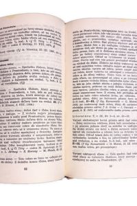 IMG 0888