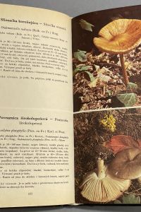 11762EF9 B058 47D2 B8A9 6EB2BB8B7C14