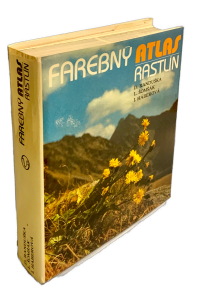 B2F56606 60CF 4F69 84E5 438133D0E74E