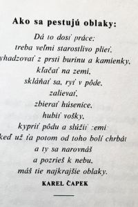 F49486B2 4F9F 46CF 8255 3D143E25522C