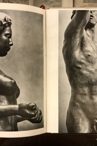 AFE409EA 1911 4ABC 915E 0AB8F7CC7702