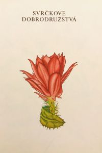 86878807 910A 4381 9827 CE3B7E36720C