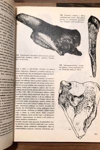 F5E4612B 1D10 443E 9C2C 3859C0B680BD