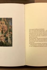 4B7005D2 F735 4DB0 8B07 B9C955759C30