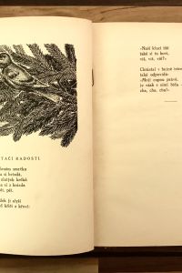 81BC20AB 6E45 4AF3 9FDD 048441562B01