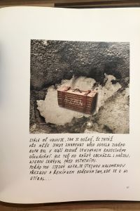 75D5AA5D 448C 4B73 8CBC 772F0531977D